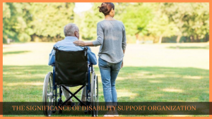 Read more about the article THE SIGNIFICANCE OF DISABILITY SUPPORT ORGANIZATION