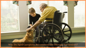 Read more about the article Why Do Aged Caregivers Recommend Pet Therapy For Seniors?