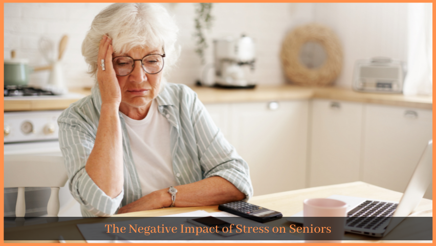 You are currently viewing The Negative Impact of Stress on Seniors