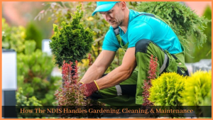 Read more about the article How The NDIS Handles Gardening, Cleaning, & Maintenance