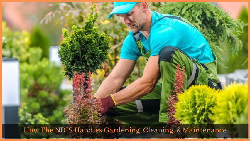 You are currently viewing How The NDIS Handles Gardening, Cleaning, & Maintenance