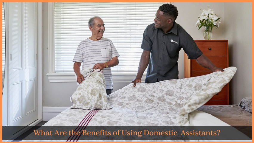 You are currently viewing What Are the Benefits of Using Domestic  Assistants?